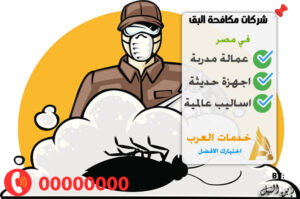 شركات رش البق