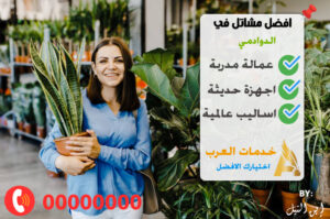 مشاتل الدوادمي