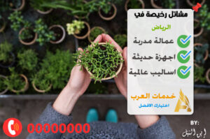 مشاتل رخيصة بالرياض