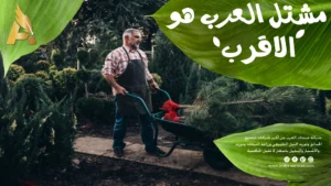 اقرب مشتل من موقعي