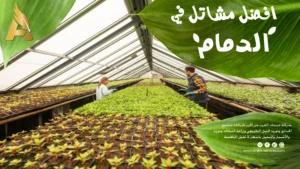 مشاتل الدمام